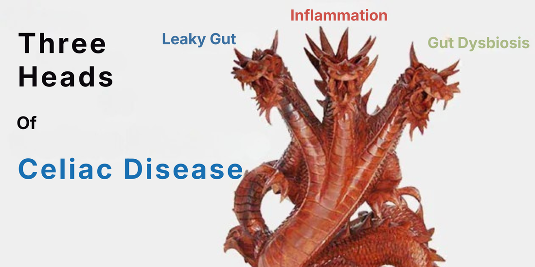 Three Heads Of Celiac Disease — three-headed dragon labeled Leaky Gut, Inflammation, Gut Dysbiosis.