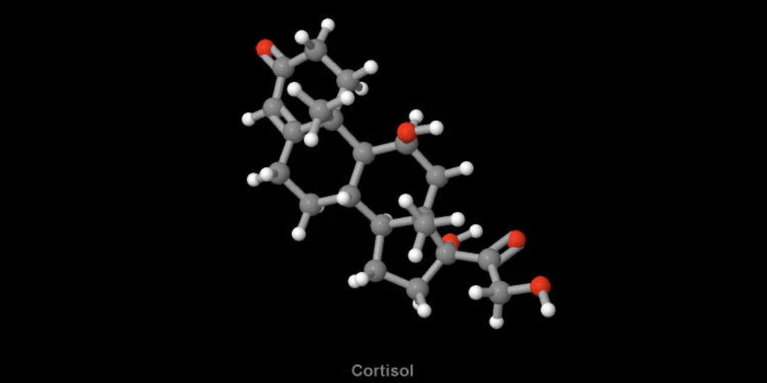 Ball-and-stick molecular model of the Cortisol molecule on a black background.