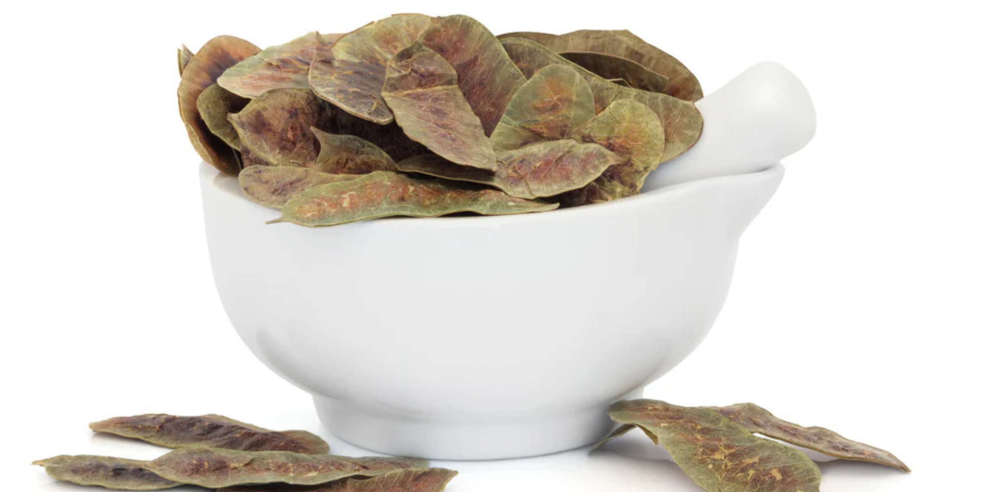 Dried senna pods and leaves in a white mortar with pestle