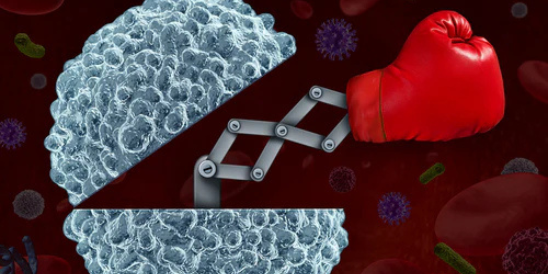 White blood cell split like a jaw with a mechanical arm wearing a red boxing glove striking pathogens