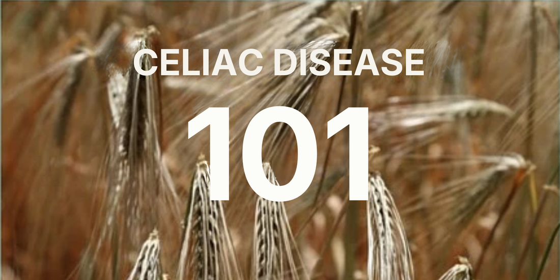 Close-up of ripening wheat heads swaying in a field, header image for an article about celiac disease