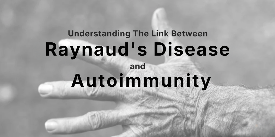Banner showing headline Understanding the Link Between Raynaud’s Disease and Autoimmunity over a close-up of a wrinkled elderly hand