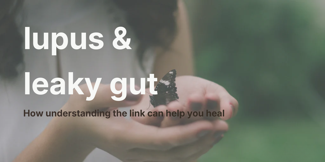 Header banner showing hands holding a butterfly to symbolize the connection between lupus and leaky gut and healing