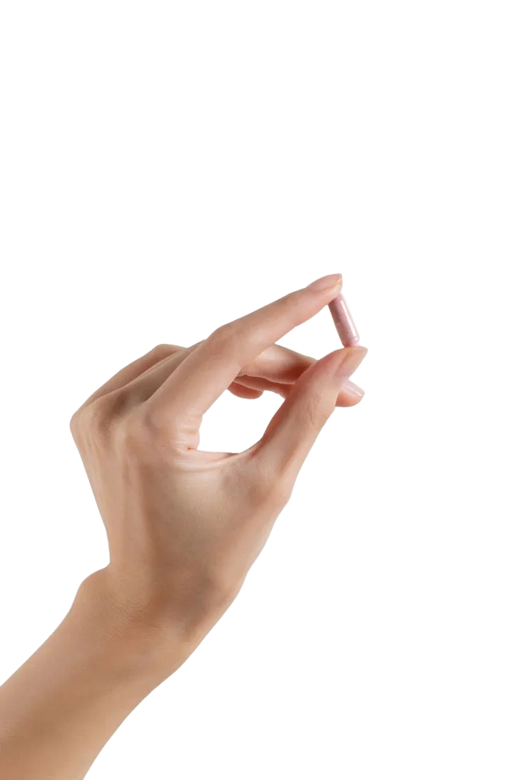 Bloating & Digestion