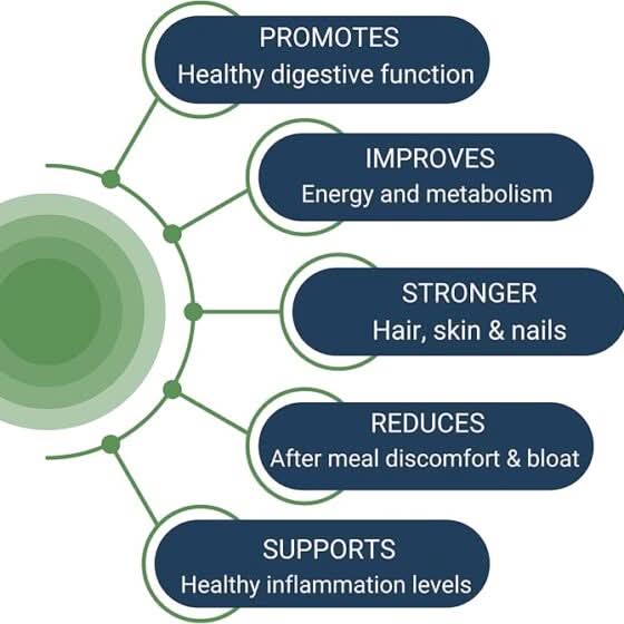 Graphic: improved digestion; increased energy; stronger hair, skin, nails; reduced post-meal bloat; supports inflammation