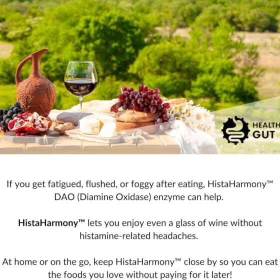 Picnic table with wine glass, cheese, bread and grapes on a cloth, clay pitcher at left; HEALTH GUT logo visible at right.