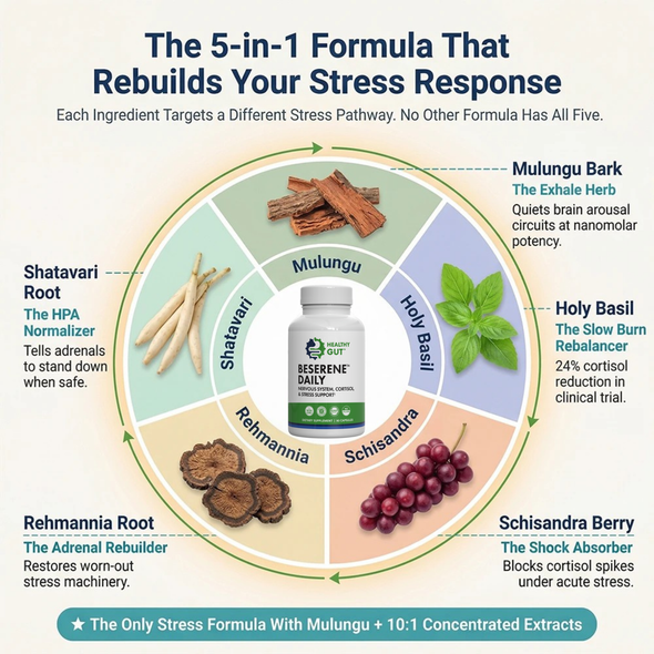 Infographic: The 5-in-1 formula that rebuilds your stress response; five herbs shown around a BeSerene Daily bottle