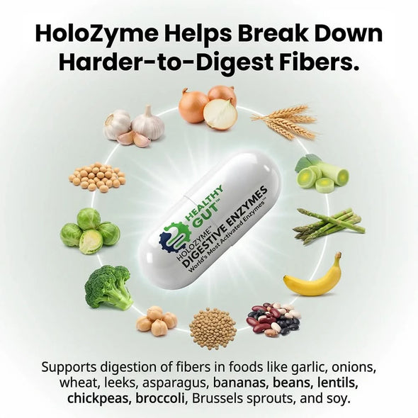 Graphic showing HoloZyme breaks down harder-to-digest fibers and supports digestion of garlic, onions, wheat