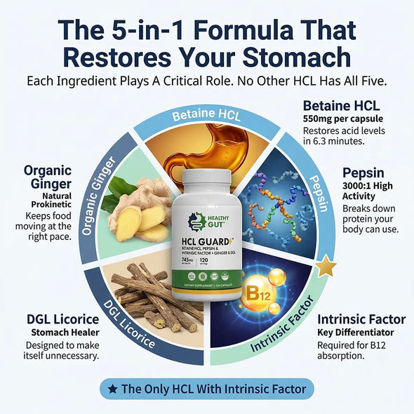 Infographic titled 'The 5-in-1 Formula That Restores Your Stomach' showing HCL Guard bottle and five ingredients with benefits