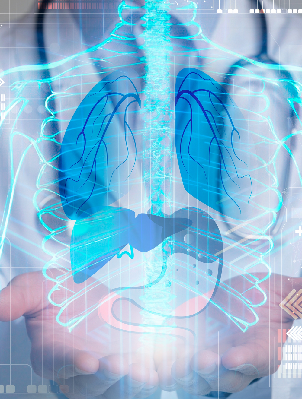 Medical hologram of lungs, ribcage, spine and stomach floating above cupped hands