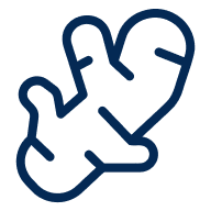 Organic Ginger for Natural Prokinetic Support