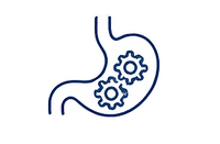 Supports digestion at the source