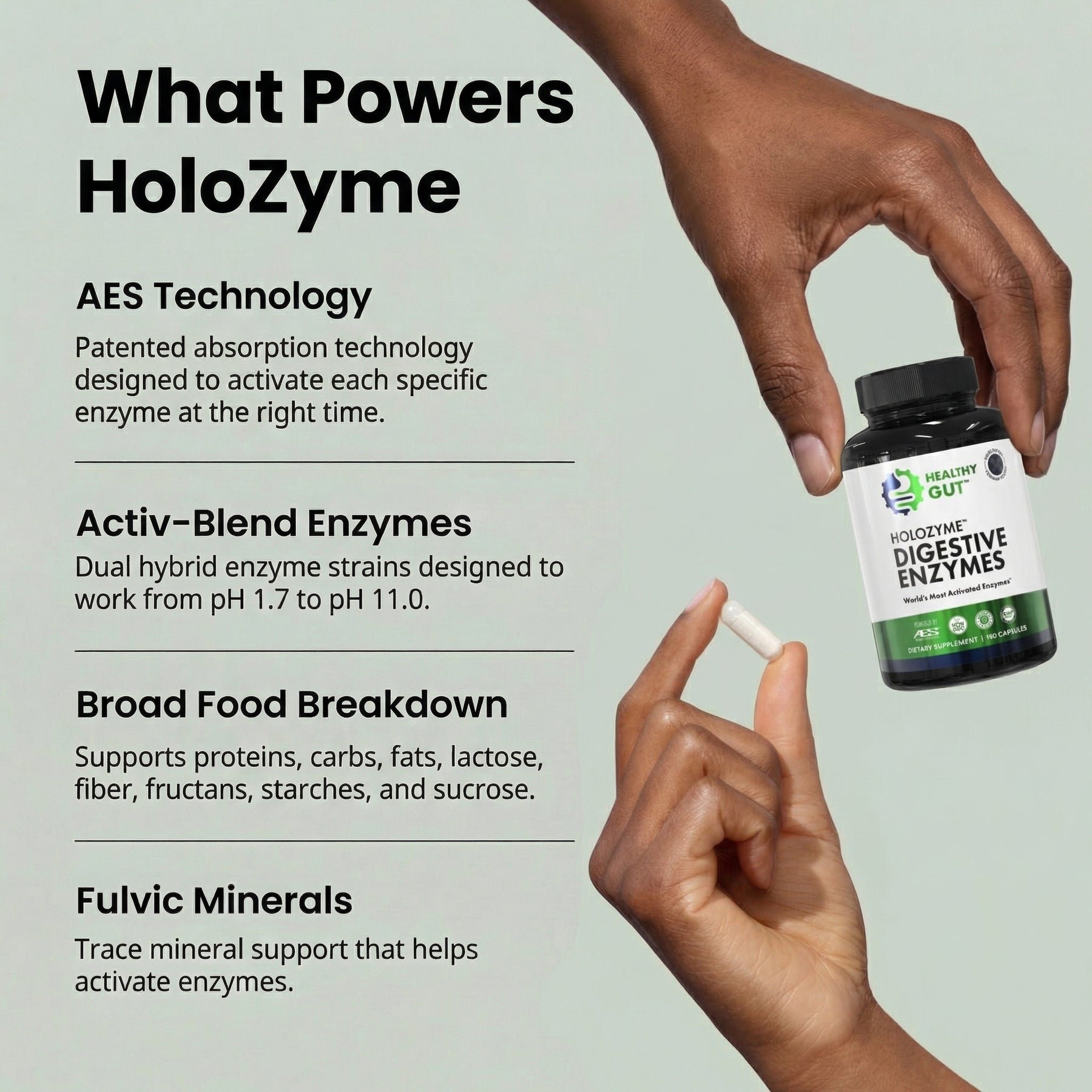 HoloZyme™