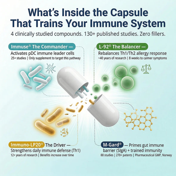 Infographic showing capsule ingredients that train the immune system: Immuse, L-92, Immuno-LP20, M-Gard