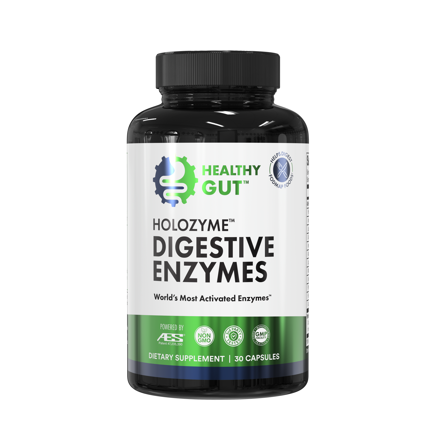 HEALTHY GUT HOLOZYME™ DIGESTIVE ENZYMES; World's Most Activated Enzymes* — DIETARY SUPPLEMENT 90 CAPSULES
