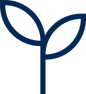 No fillers, no allergens, non-GMO