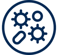 Supporting digestion from breakdown through absorption