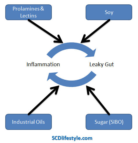 leaky-gut-inflammation-cycle