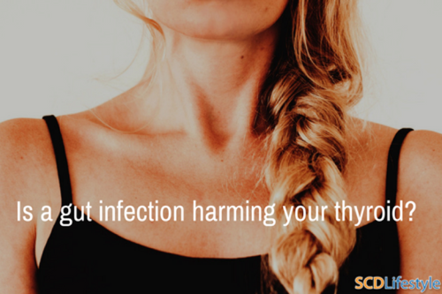 Is a gut infection harming your thyroid?